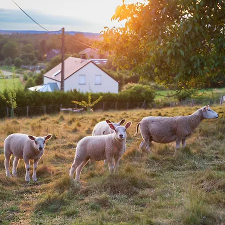 Bed & Breakfast Les Herbesfolles De Oizy
