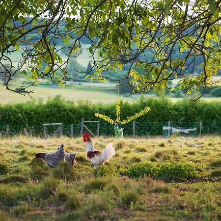 Les Herbesfolles De Bed & Breakfast